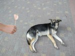 � ̳��������� ���� ����
